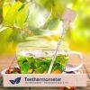Lantelme Teethermometer Glas in Holzbox Temperaturmesser für Teewasser