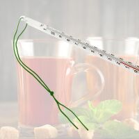 Lantelme Teewasserthermometer Glas 24 cm – analoges Tee Thermometer