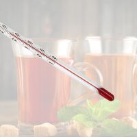 Lantelme Teethermometer Glas 24cm